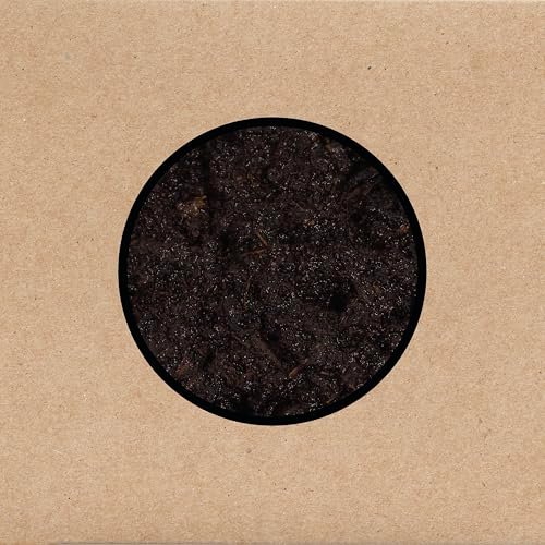Birthing [Vinilo]