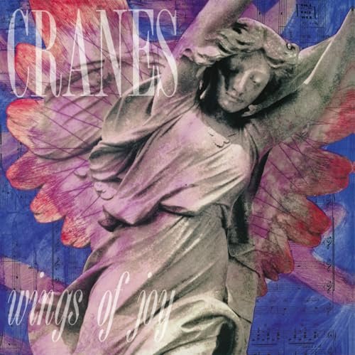 Wings Of Joy [Vinilo]