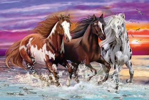 Schmidt Spiele 56356 Wild…